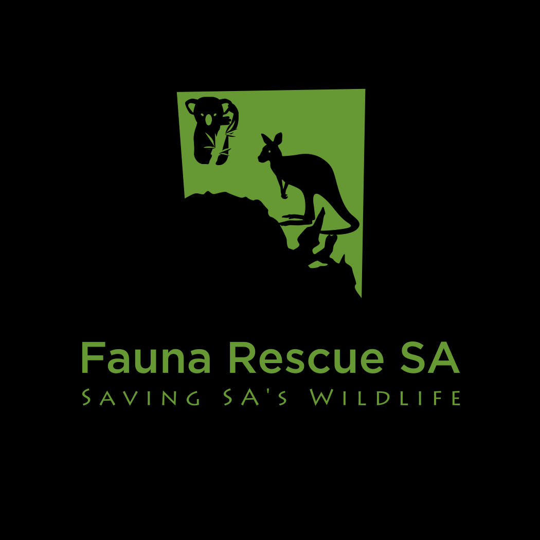 Logo Design by Lunaris atelier for Marketing Hat | Design #17377001