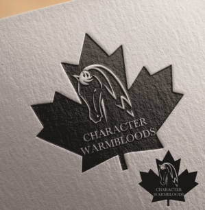 Logo Design by ivoscasofi 2