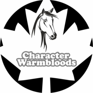 Diseño de Logo por dg web para Character Warmbloods | Diseño: #17309679