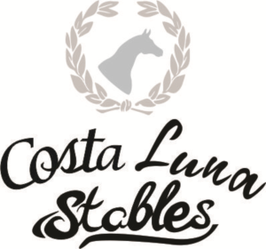 Logo Design by iber