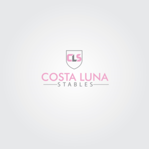 Logo Design by skilled designer1