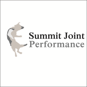 Logo Design by iber