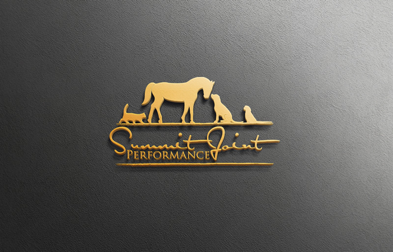 Logo-Design von rocklee für Titleist Technologies | Design #17328441