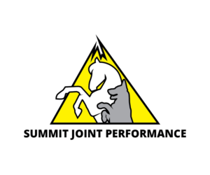 Logo Design by Logokamu
