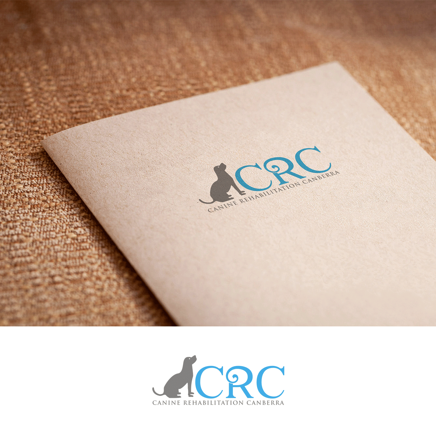 Logo Design by DesignDUO for Canine Rehabilitation Canberra | Design #17441062