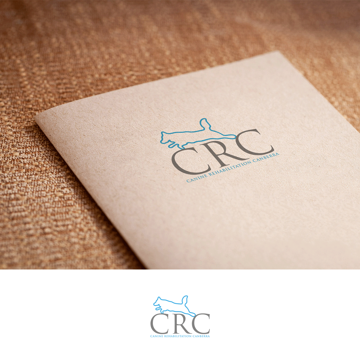 Logo Design by DesignDUO for Canine Rehabilitation Canberra | Design #17441063