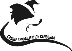 Logo Design by Mitchy Designs for Canine Rehabilitation Canberra | Design: #17323118