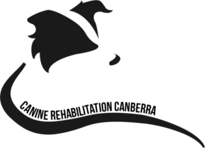 Logo Design by Mitchy Designs for Canine Rehabilitation Canberra | Design: #17323119