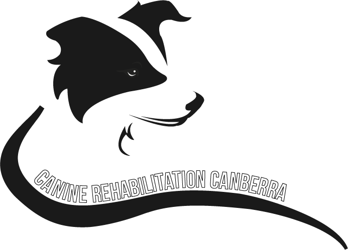 Logo Design by Mitchy Designs for Canine Rehabilitation Canberra | Design #17323120