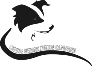 Logo Design by Mitchy Designs for Canine Rehabilitation Canberra | Design: #17323120