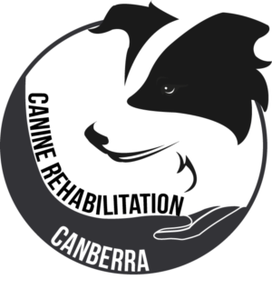 Logo Design by Mitchy Designs for Canine Rehabilitation Canberra | Design: #17349463