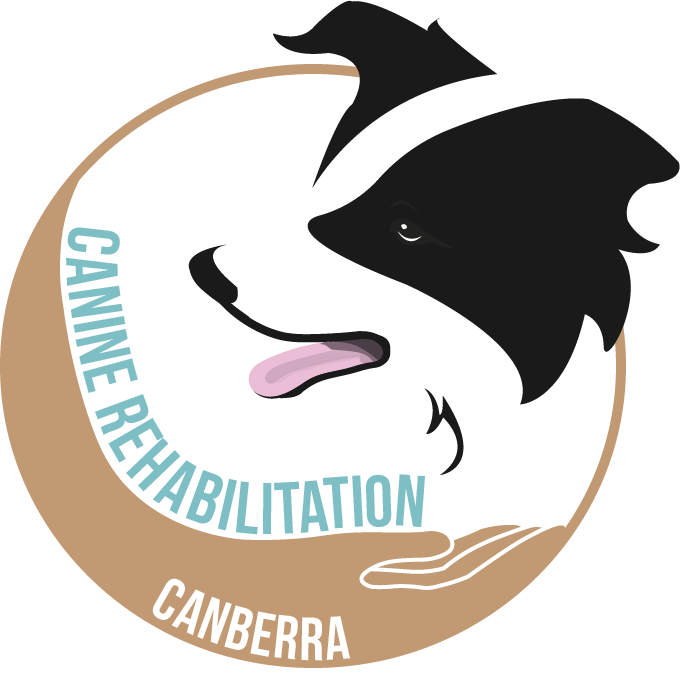 Logo Design by Mitchy Designs for Canine Rehabilitation Canberra | Design #17350764