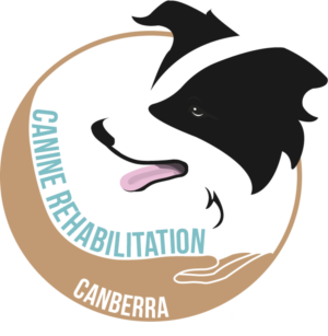 Logo Design by Mitchy Designs for Canine Rehabilitation Canberra | Design: #17350764