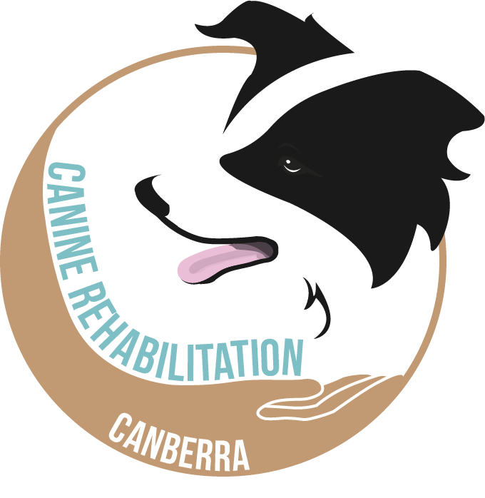 Logo Design by Mitchy Designs for Canine Rehabilitation Canberra | Design #17350802