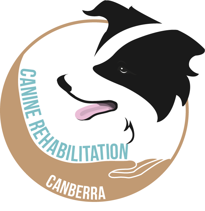 Logo Design by Mitchy Designs for Canine Rehabilitation Canberra | Design #17350837