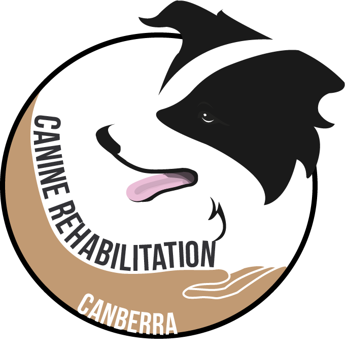 Logo Design by Mitchy Designs for Canine Rehabilitation Canberra | Design #17350849