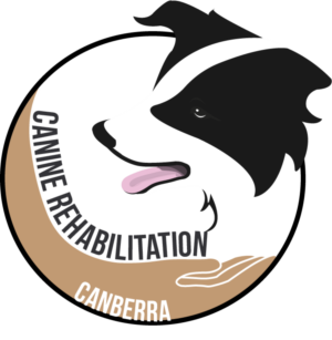 Logo Design by Mitchy Designs for Canine Rehabilitation Canberra | Design: #17350849