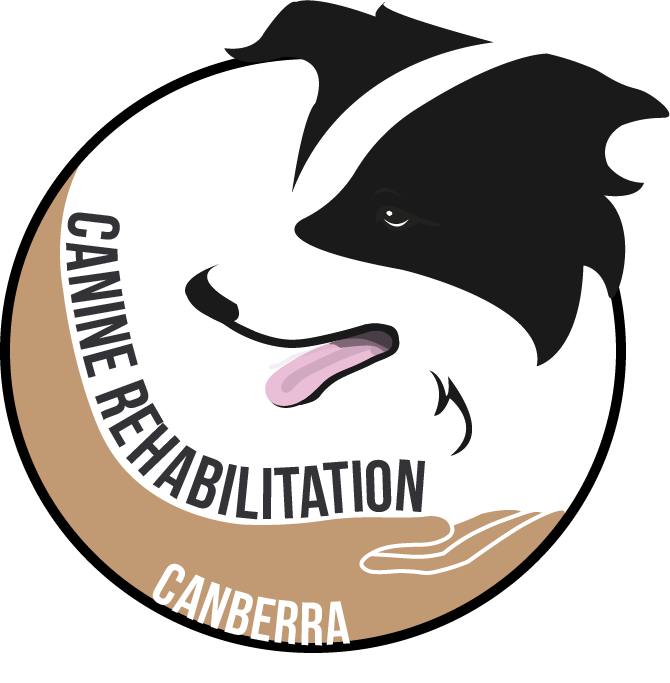 Logo-Design von Mitchy Designs für Canine Rehabilitation Canberra | Design #17350923