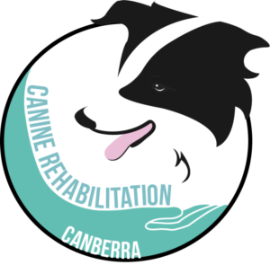 Logo Design by Mitchy Designs for Canine Rehabilitation Canberra | Design: #17358390