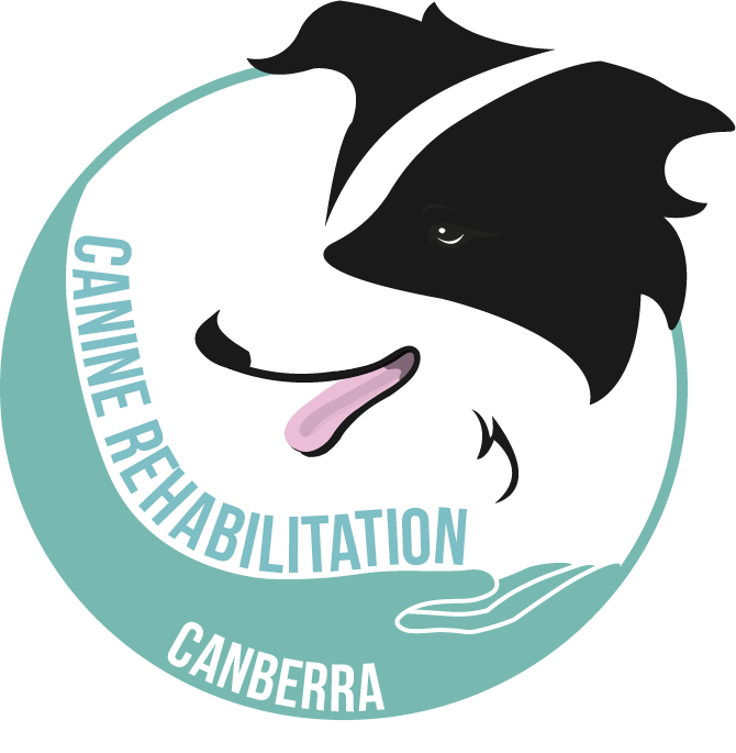 Logo Design by Mitchy Designs for Canine Rehabilitation Canberra | Design: #17435656
