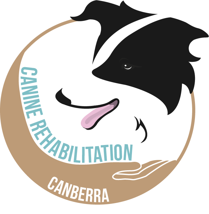 Logo Design by Mitchy Designs for Canine Rehabilitation Canberra | Design #17435657
