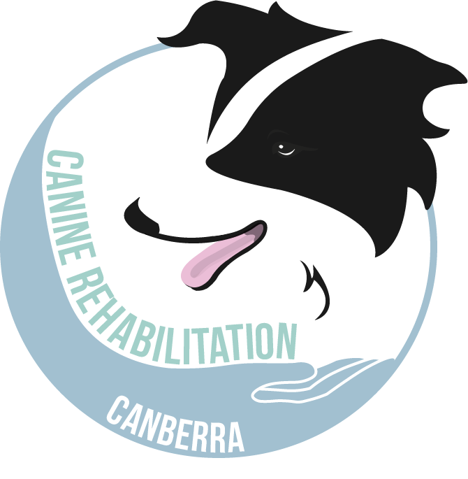 Logo Design by Mitchy Designs for Canine Rehabilitation Canberra | Design #17454463