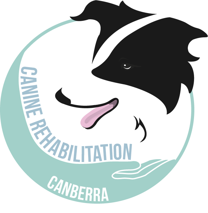 Logo Design by Mitchy Designs for Canine Rehabilitation Canberra | Design #17454464