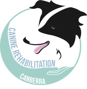 Logo Design by Mitchy Designs for Canine Rehabilitation Canberra | Design: #17454464