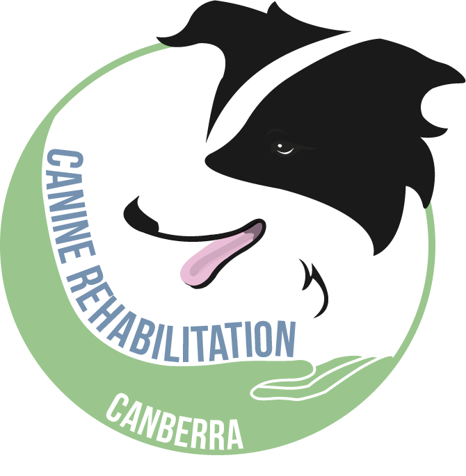 Logo Design by Mitchy Designs for Canine Rehabilitation Canberra | Design #17454467