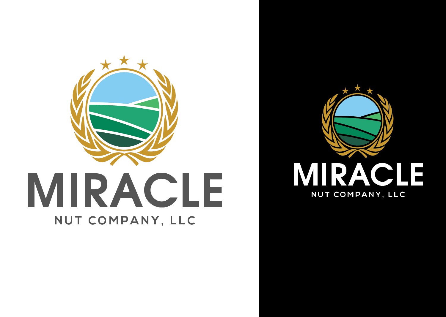 Logo Design by ivo_i_ivanov for this project | Design #17388312