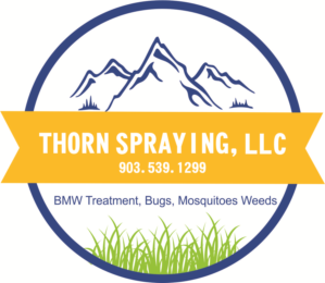Logo Design by iber
