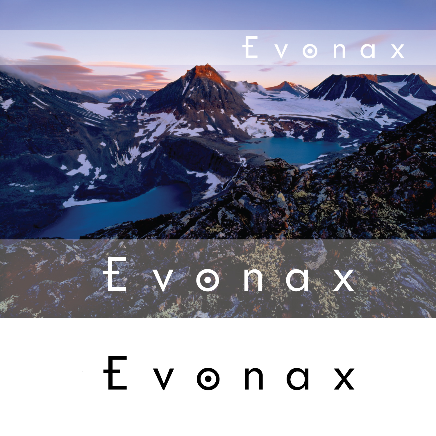 Diseño de Logo por Arvhel Graphic Design para Thyregod Invest ApS | Diseño #17412560