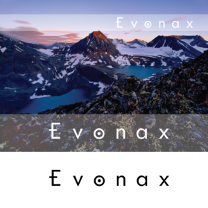 Design de Logo par Arvhel Graphic Design pour Thyregod Invest ApS | Design : #17412560