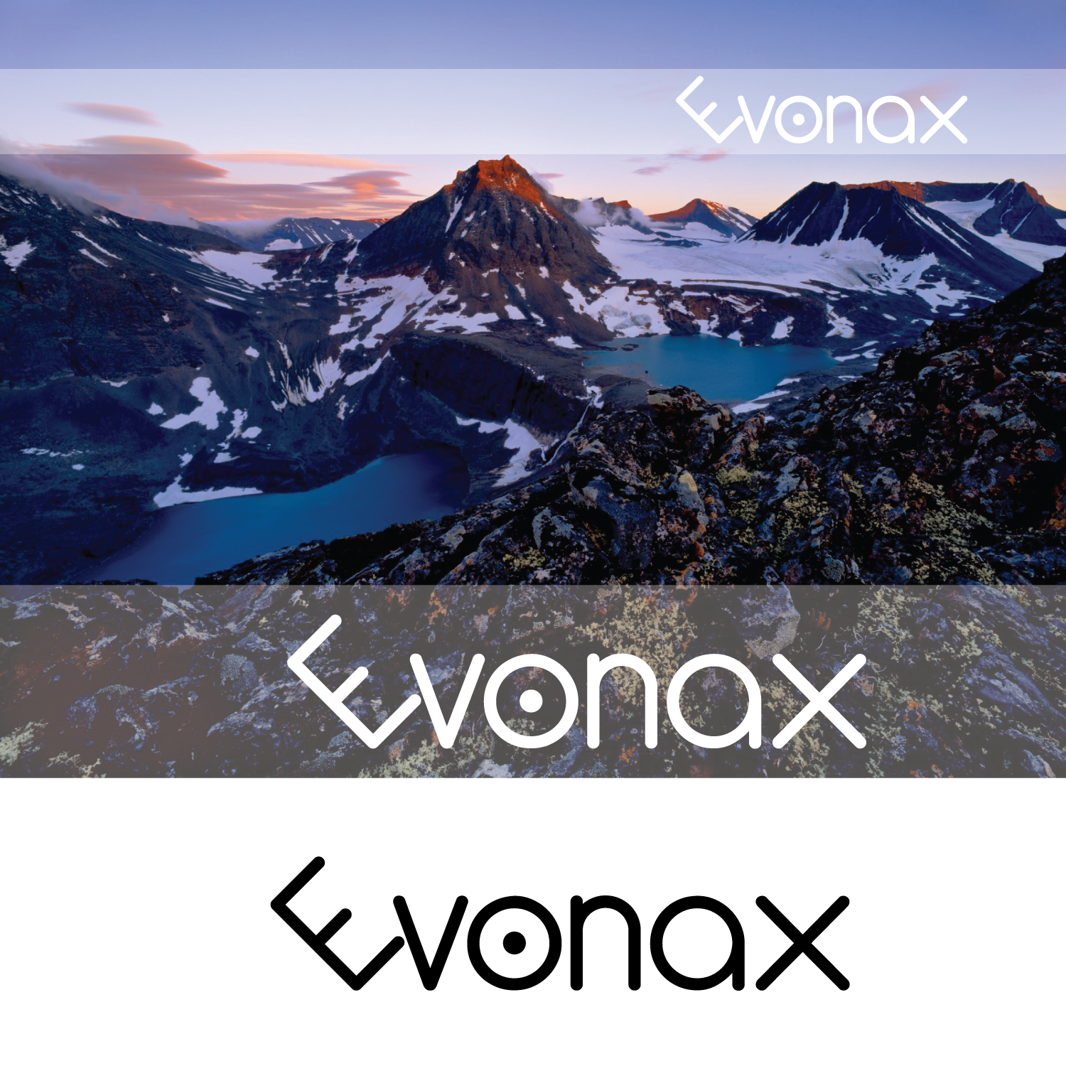 Diseño de Logo por Arvhel Graphic Design para Thyregod Invest ApS | Diseño #17412604