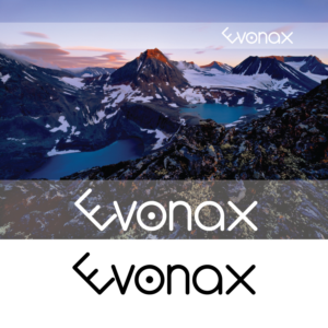 Design de Logo par Arvhel Graphic Design pour Thyregod Invest ApS | Design : #17412618