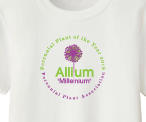 Diseño de Camiseta por see why para este proyecto | Diseño #17492703