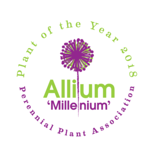 Allium 'Millenium'  2018 PPA Perennial Plant of the Year! | T-shirt Design by see why