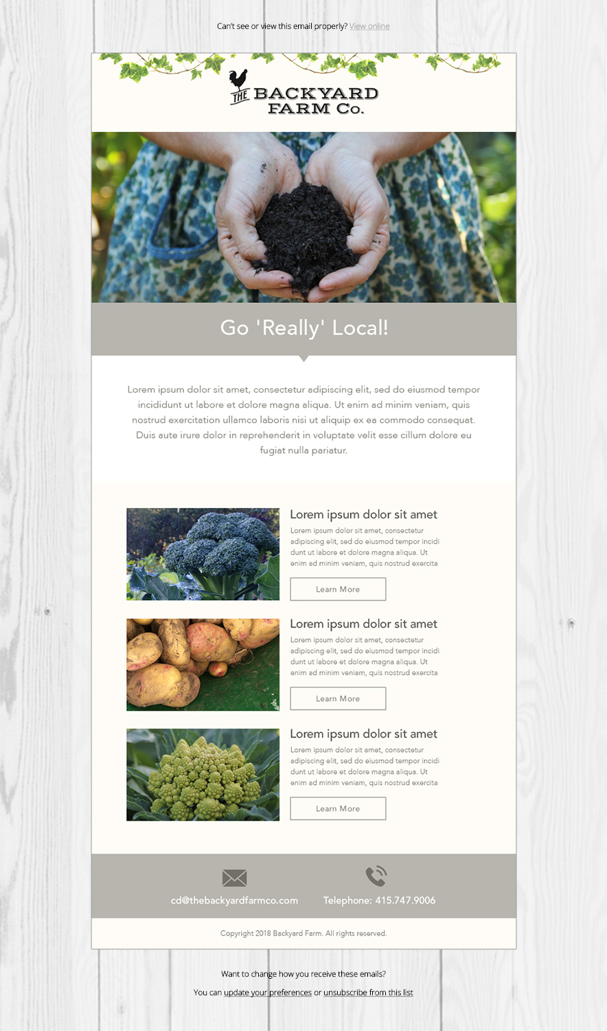Design de Newsletter par Laurra pour ce projet | Design #17378260