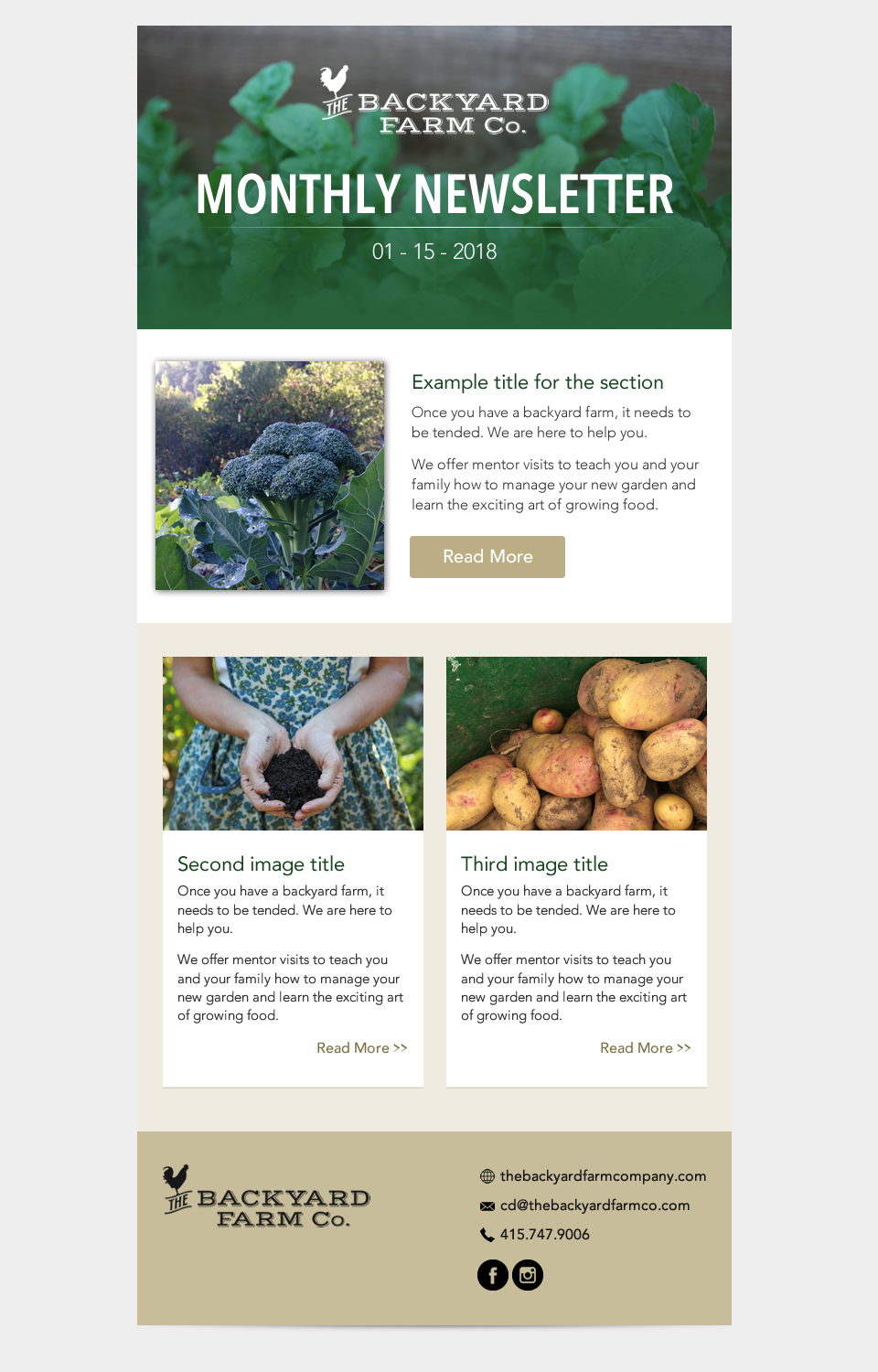 Newsletter Design by karina Bertarione for this project | Design #17445100
