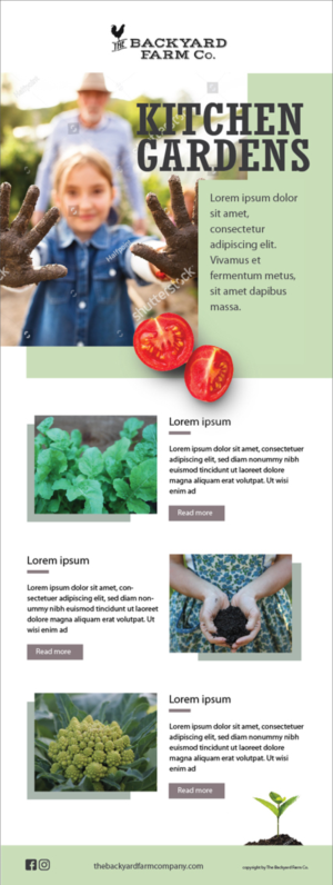 Newsletter Design by eleven