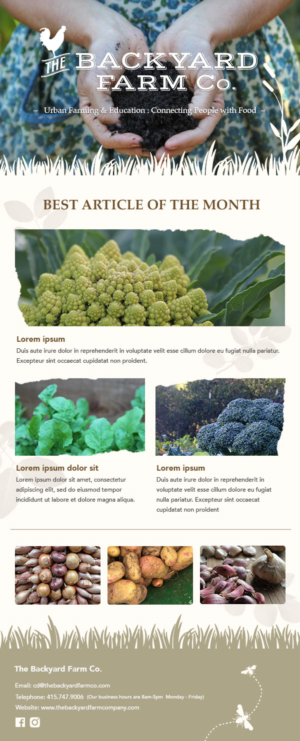 Newsletter Design by jasminenpy