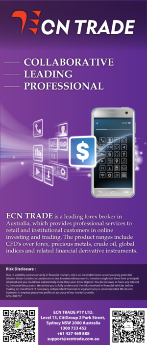 Flyer Design by HamzaMalik