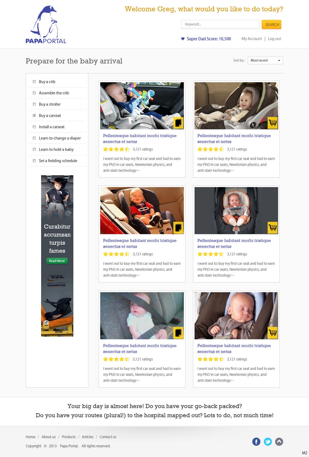 Diseño Web por pb para este proyecto | Diseño #2730279