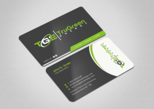 Business Card Design by INDIAN_Ashok for TruGreen Energy | Design: #17344665