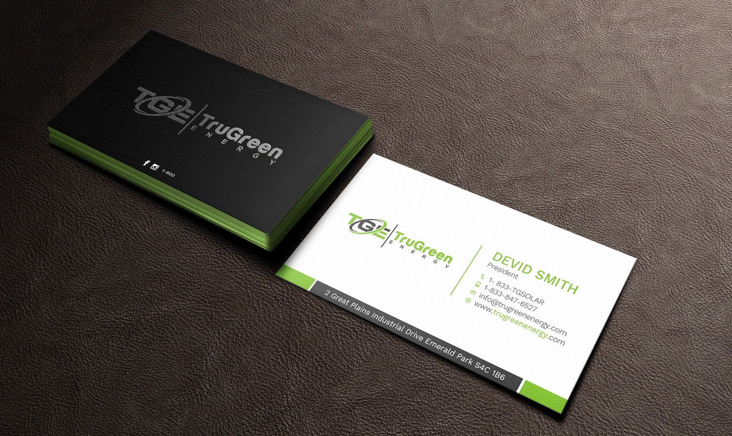 Business Card Design by Tripti Ranjan Gain for TruGreen Energy | Design #17340962