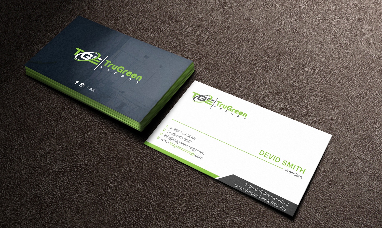 Business Card Design by Tripti Ranjan Gain for TruGreen Energy | Design #17341000
