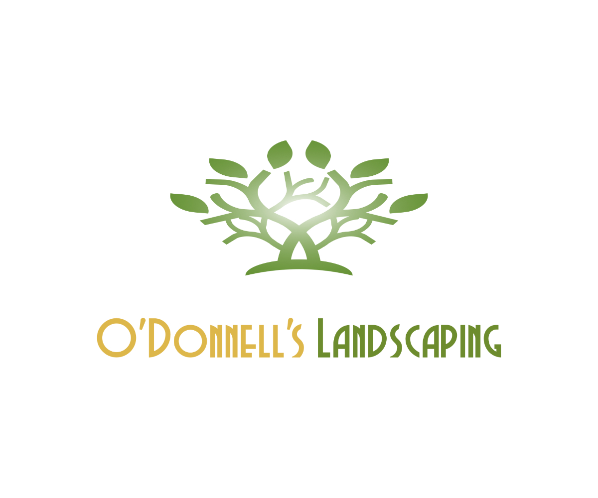 Logo Design by Chris | Designer for this project | Design #17369133