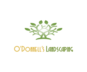 Logo Design by Chris | Designer for this project | Design: #17369133