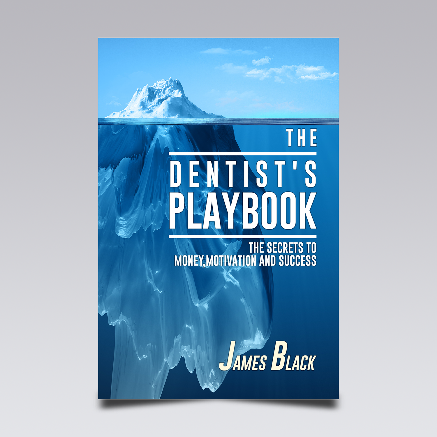 eBook Cover Design by VEGA-Designs for this project | Design #17366863