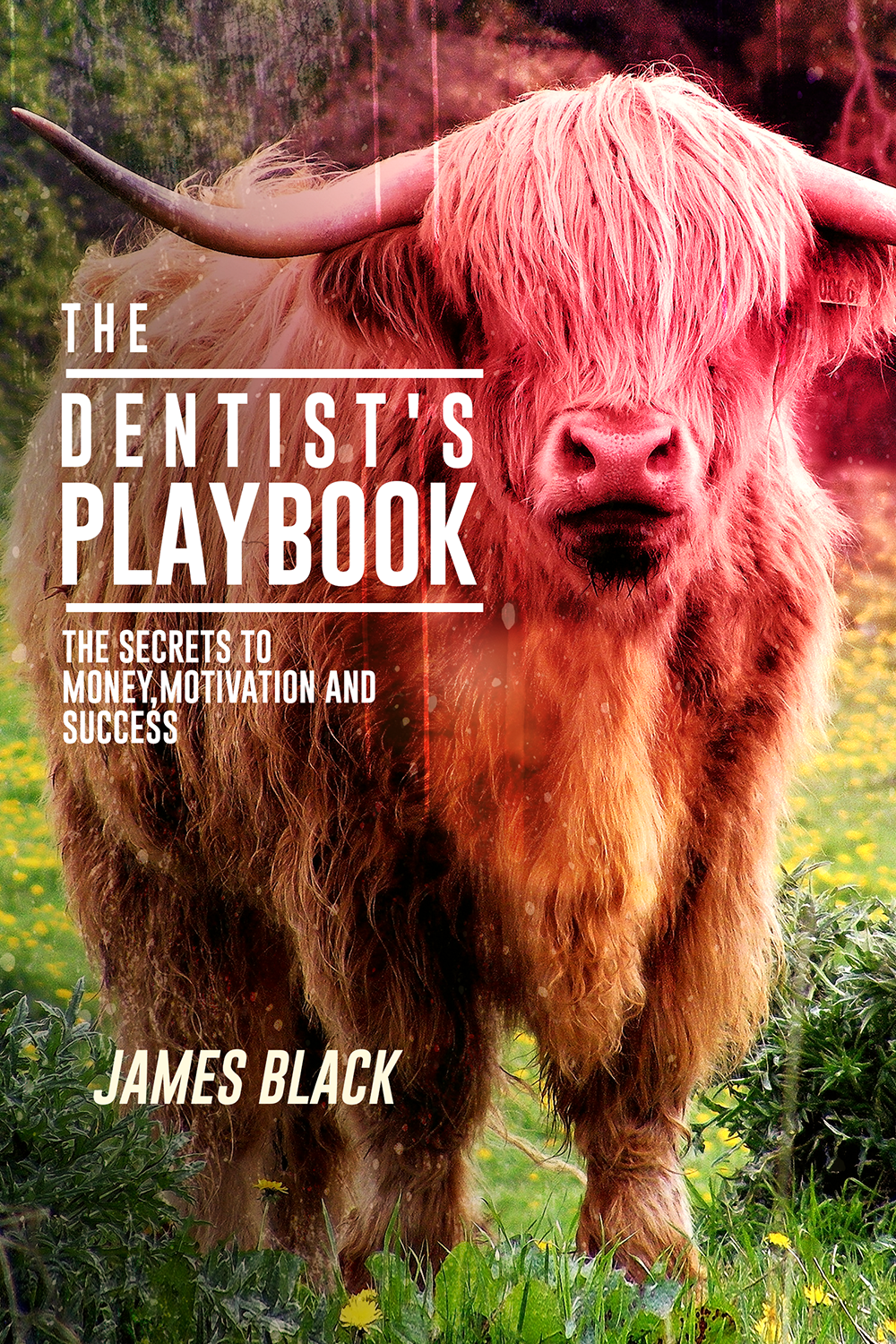 eBook Cover Design by VEGA-Designs for this project | Design #17389681